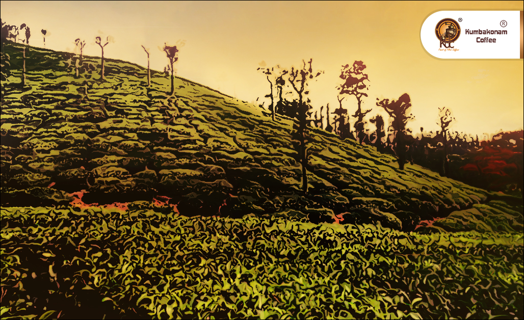 Coffee Franchise in Chikmagalur 1 coffee franchise in chikmagalur | Kumbakonam Degree Coffee franchise in Chikmagalur | best coffee franchise in Chikmagalur